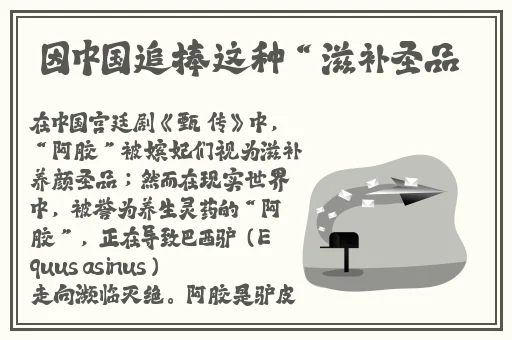 53岁大妈山坡做皮肉生意的原因